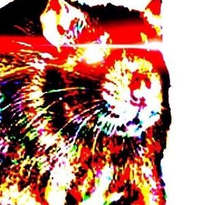 Meet your Posher, Aiden